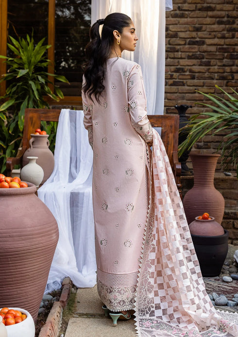 FAIRY CLOTHES -3PC EMBROIDED LAWN DRESS EMBROIDERED SILK DUPPATA - FCO-31 BR -1223